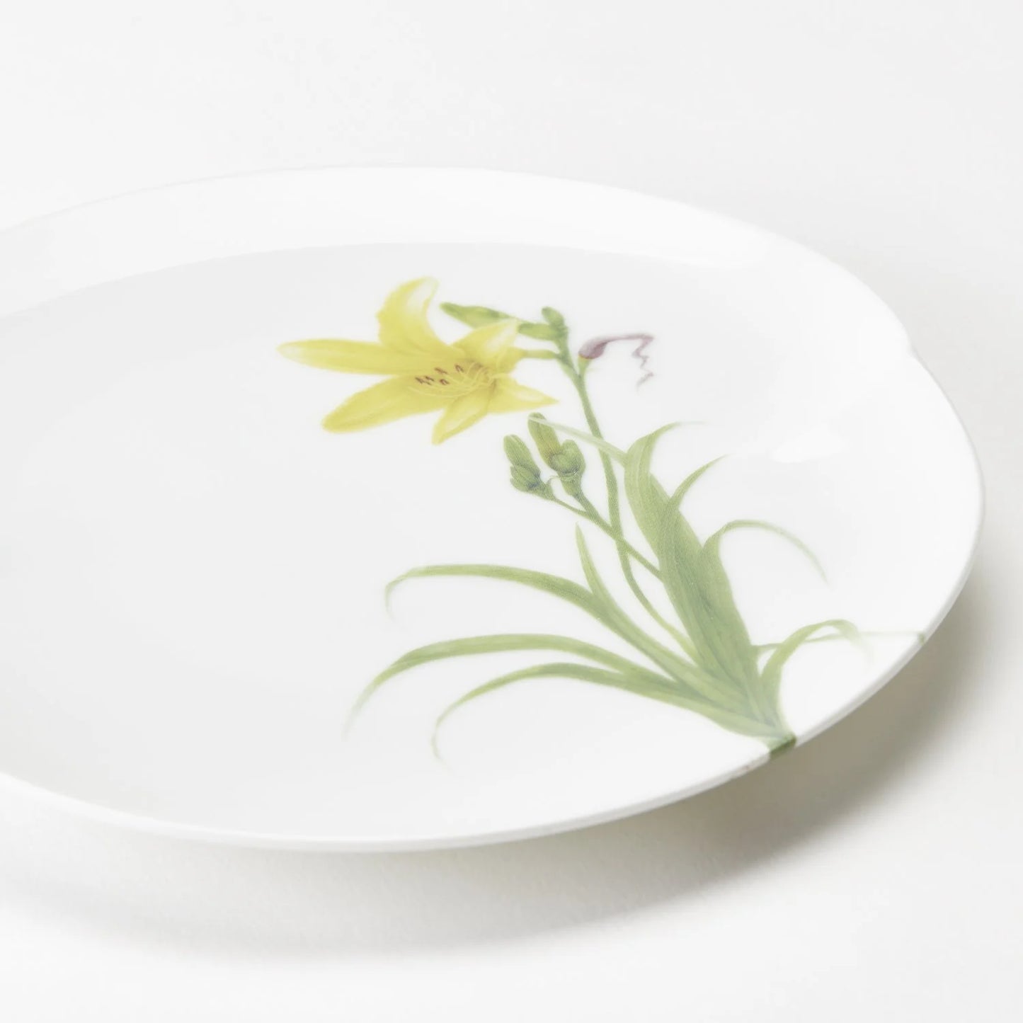 Miyama 谷川岳高山植物圖鑑餐碟套裝│Miyama Alpine Flora Collection Plate Set