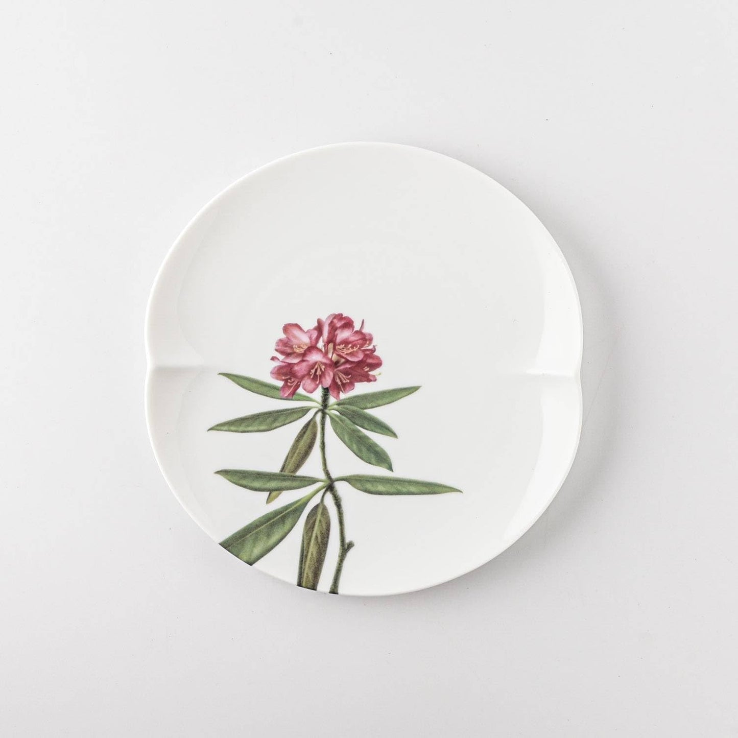 Miyama 谷川岳高山植物圖鑑餐碟套裝│Miyama Alpine Flora Collection Plate Set