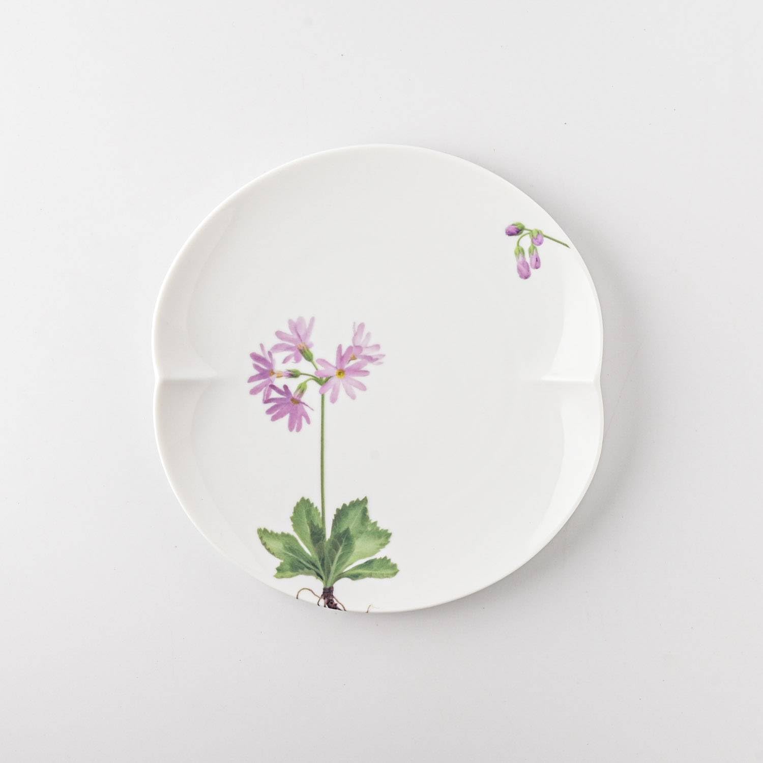 Miyama 谷川岳高山植物圖鑑餐碟套裝│Miyama Alpine Flora Collection Plate Set